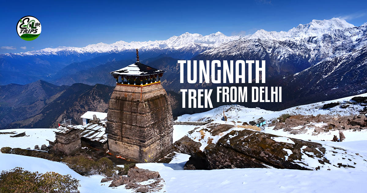 Tungnath trek from Delhi